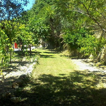 The Country Path B&B Toffia Bagian luar foto