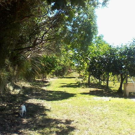 The Country Path B&B Toffia Bagian luar foto