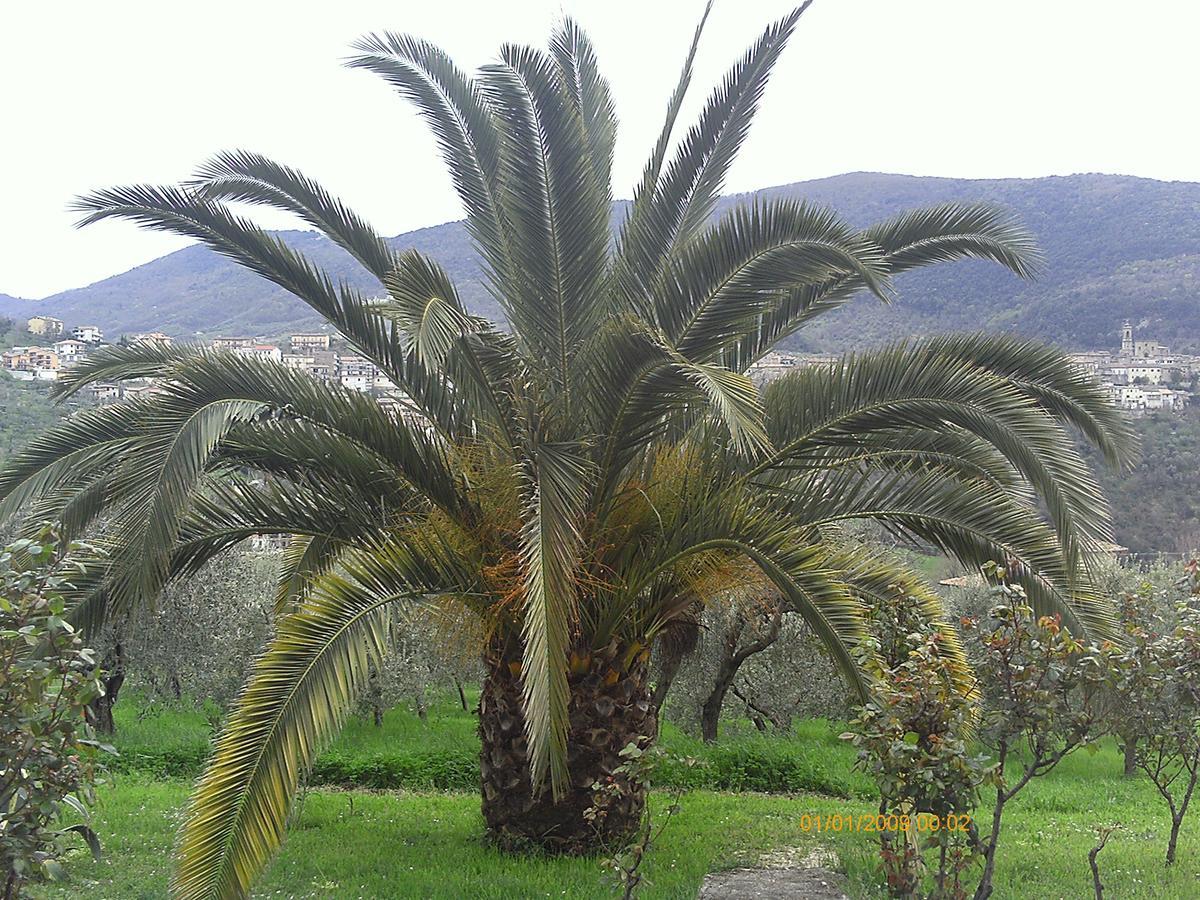 The Country Path B&B Toffia Bagian luar foto