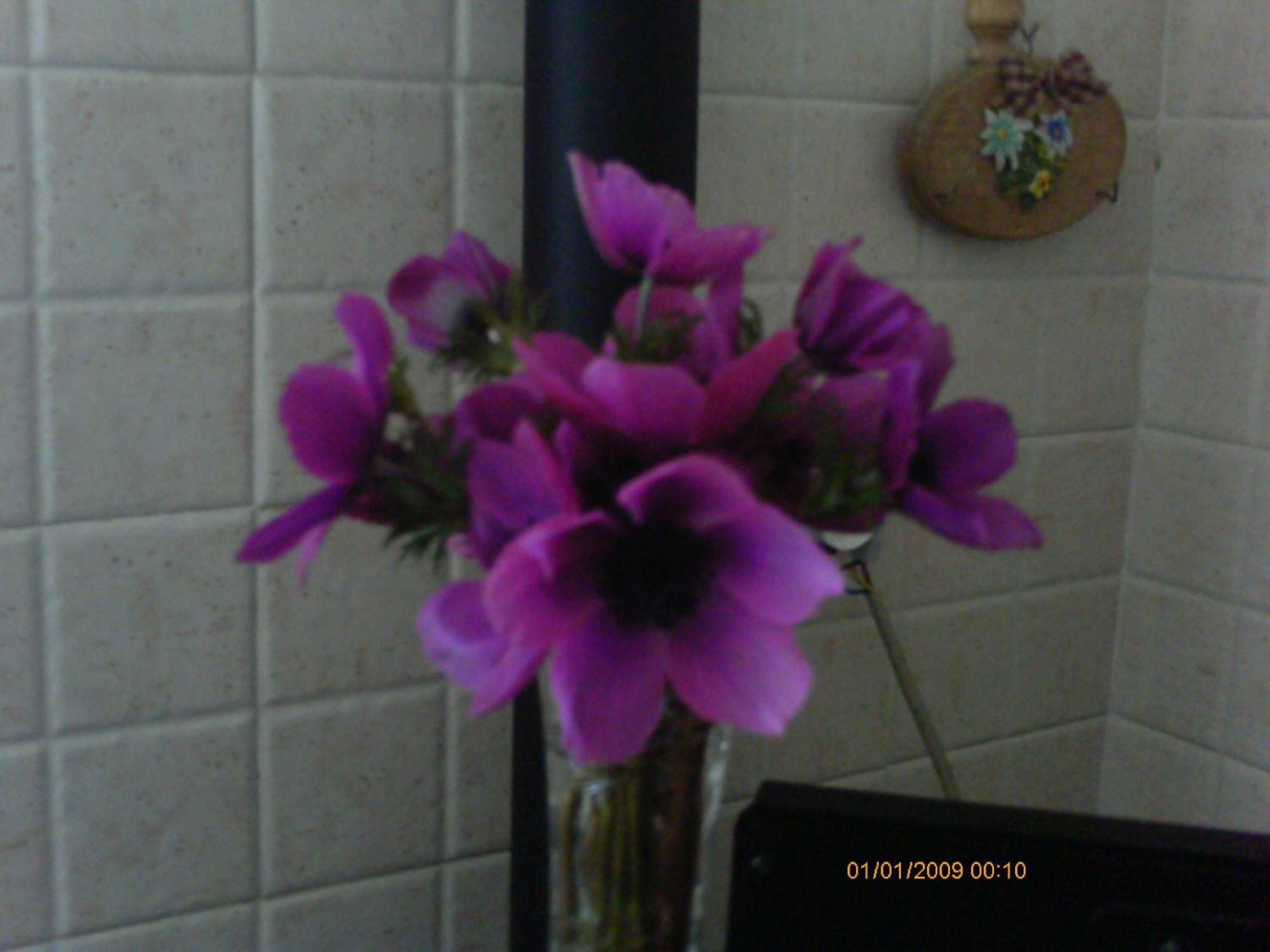 The Country Path B&B Toffia Bagian luar foto