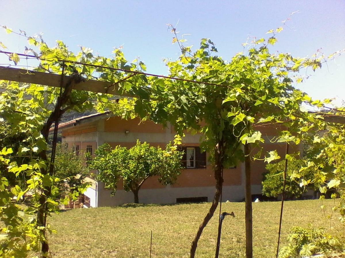 The Country Path B&B Toffia Bagian luar foto