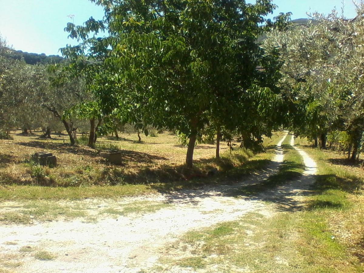 The Country Path B&B Toffia Bagian luar foto