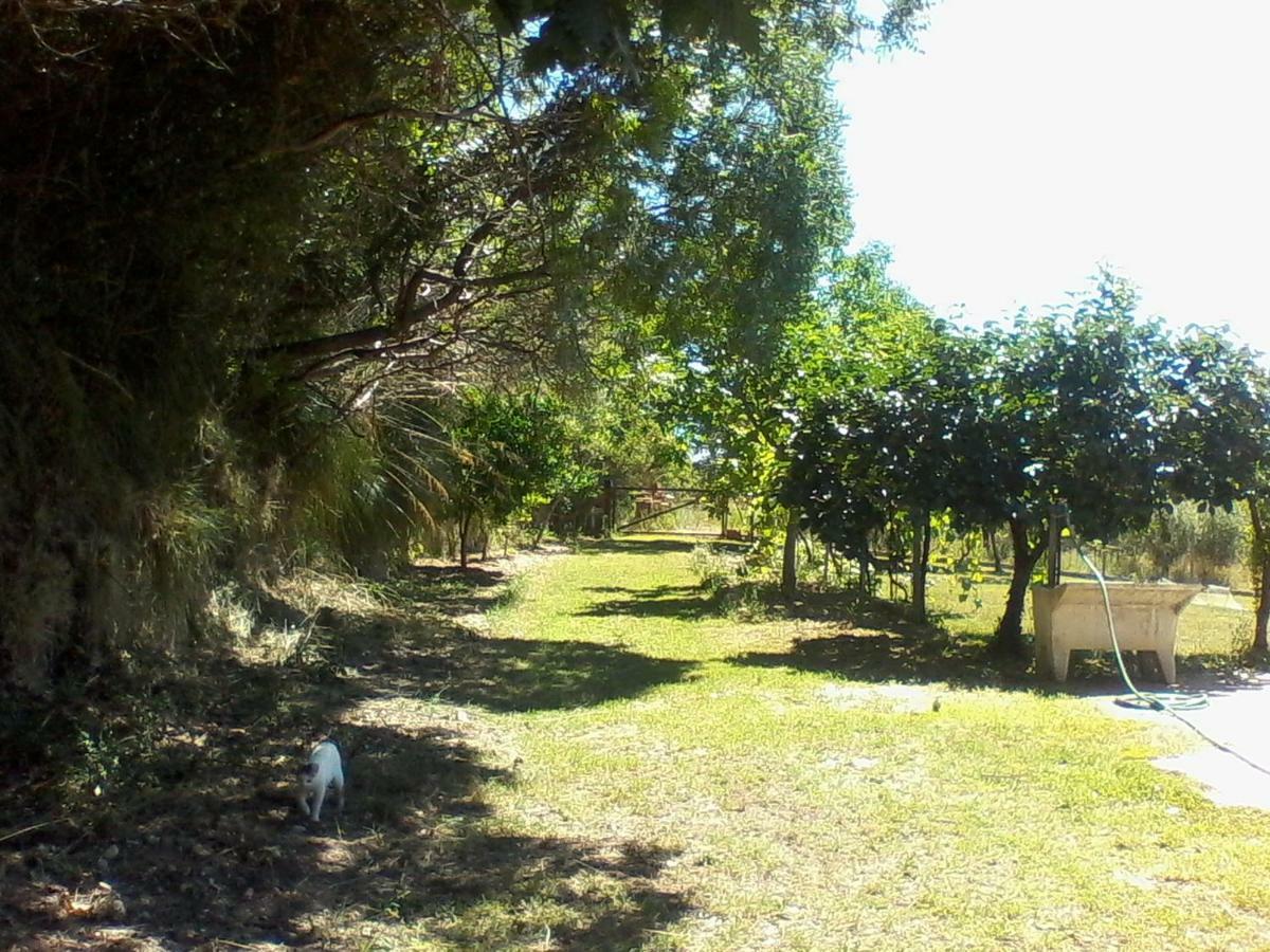 The Country Path B&B Toffia Bagian luar foto
